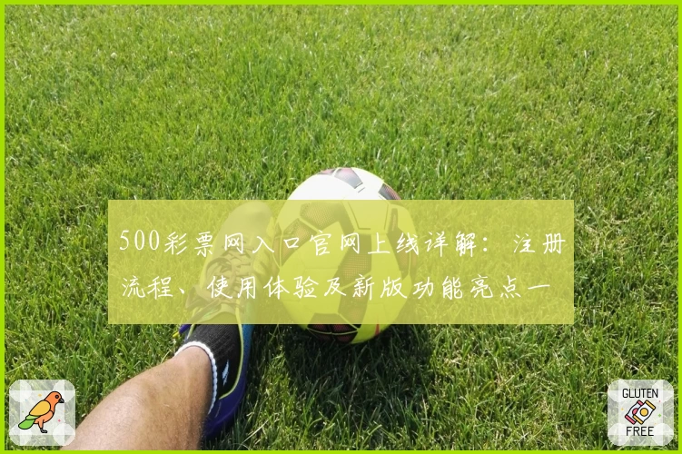 500彩票网入口官网上线详解：注册流程、使用体验及新版功能亮点一览