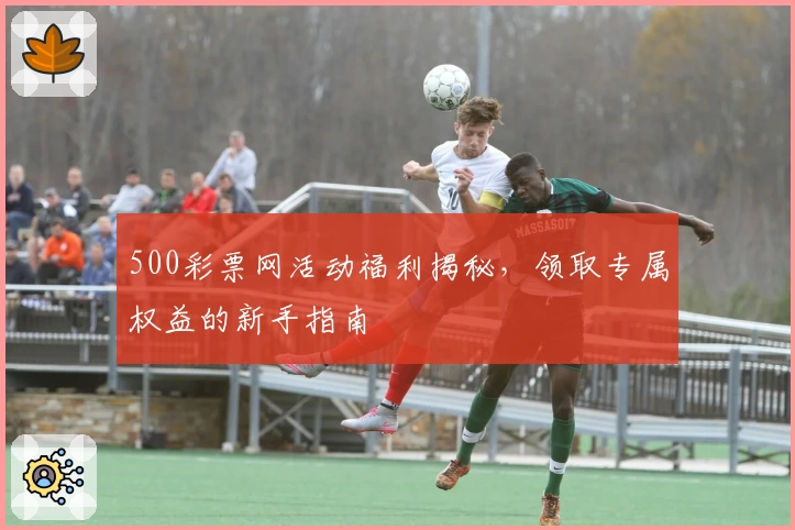 500彩票网活动福利揭秘，领取专属权益的新手指南