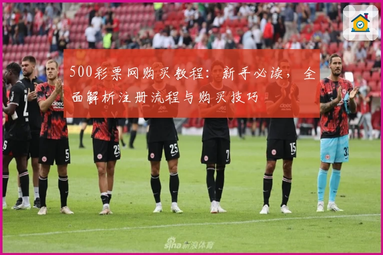 500彩票网购买教程：新手必读，全面解析注册流程与购买技巧