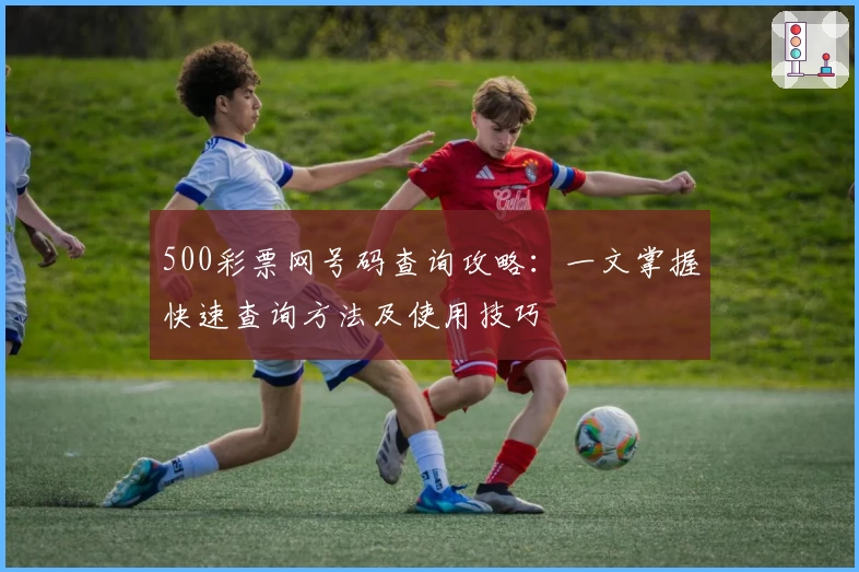 500彩票网号码查询攻略：一文掌握快速查询方法及使用技巧