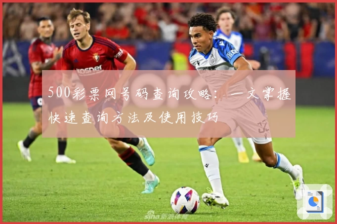 500彩票网号码查询攻略：一文掌握快速查询方法及使用技巧