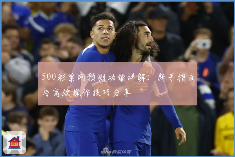 500彩票网预测功能详解：新手指南与高效操作技巧分享