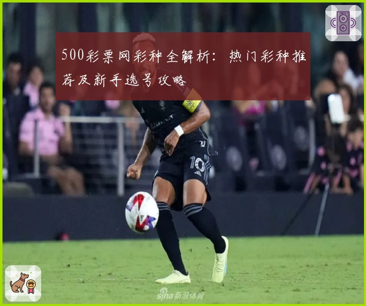 500彩票网彩种全解析：热门彩种推荐及新手选号攻略