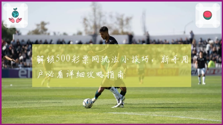 解锁500彩票网玩法小技巧，新手用户必看详细攻略指南