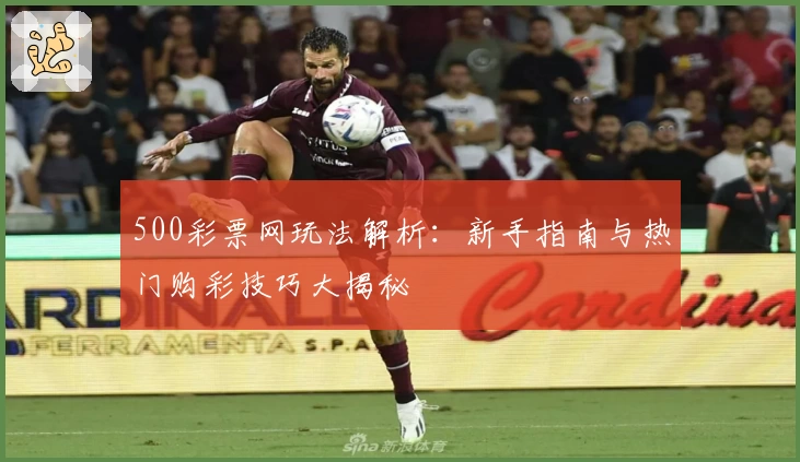 500彩票网玩法解析：新手指南与热门购彩技巧大揭秘